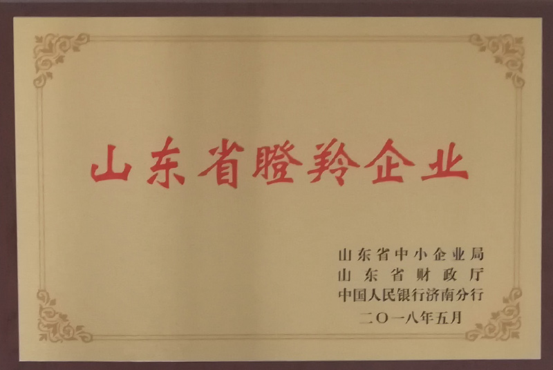 ɽ�|ʡ������I